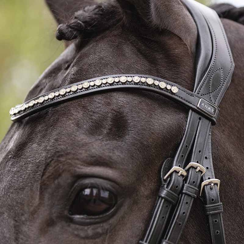 Bridon anatomique Comfort Fit Pullback avec rênes Noir