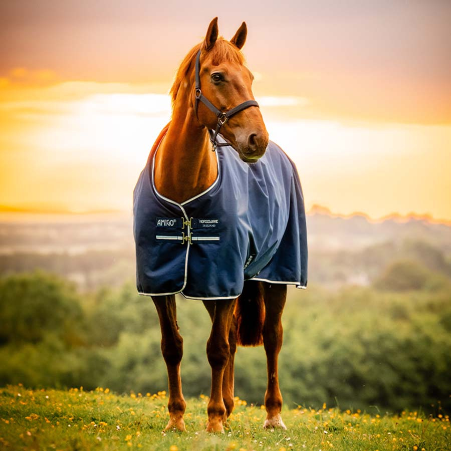 Couverture imperméable Amigo Ripstop 900D 0g Witney Navy