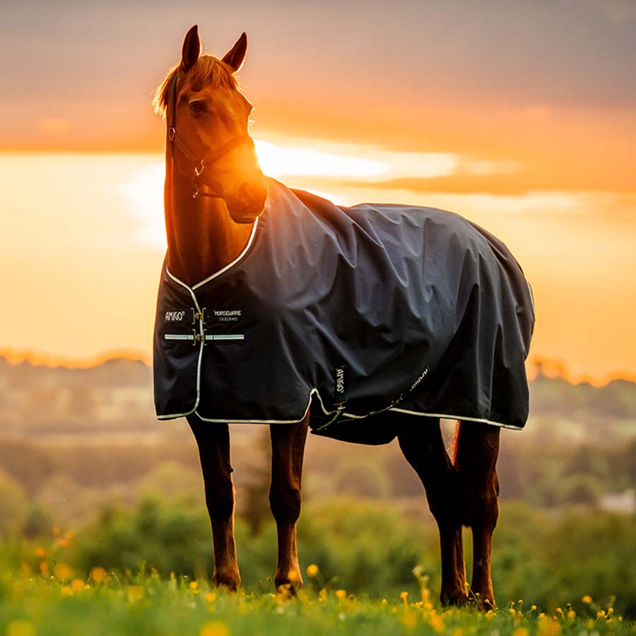 Couverture imperméable Amigo Ripstop 900D 0g Witney Navy
