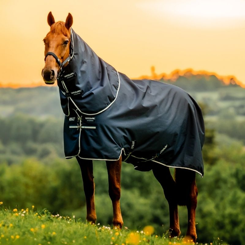 Couverture d'hiver Amigo Ripstop Plus 900D 200g Witney Navy