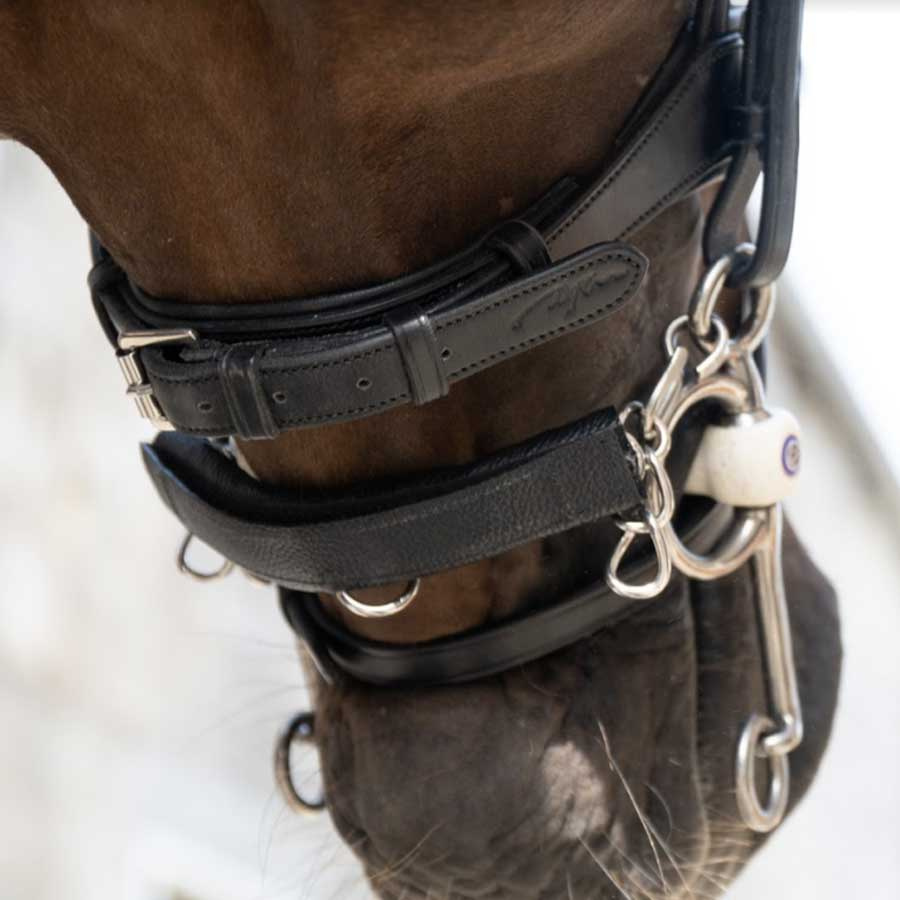 Protection pour chaîne de joue Noir