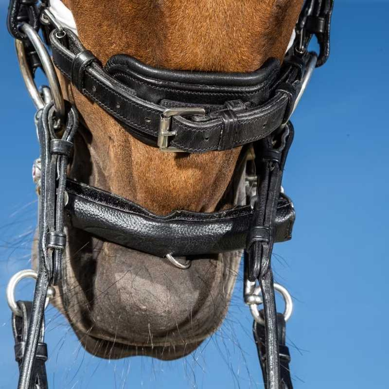 Protection pour chaîne de joue avec néoprène Noir