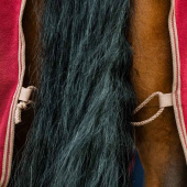 Couverture polaire Amigo Cooler Rouge/Beige Couverture polaire Amigo Cooler Rouge/Beige