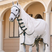 Couverture anti-mouches et dermite estivale Rambo Hoody XL Beige/Vert/Argent Couverture anti-mouches et dermite estivale Rambo Hoody XL Beige/Vert/Argent