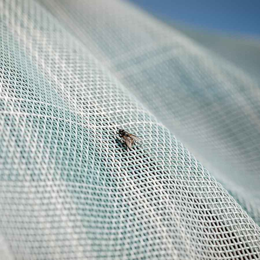 Couverture Anti-Mouches Newmarket Witney Dynasty