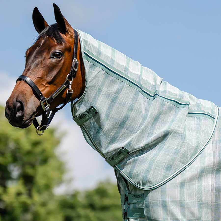 Couvre-cou Newmarket Witney Dynasty