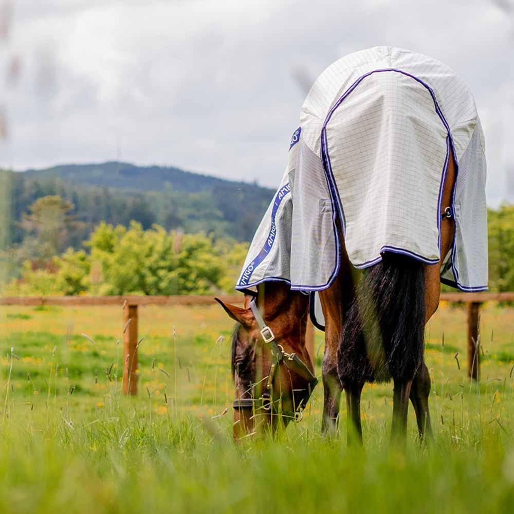 Couverture anti-mouches et d'été Amigo Airflow Plus Blanc/Gris/Bleu