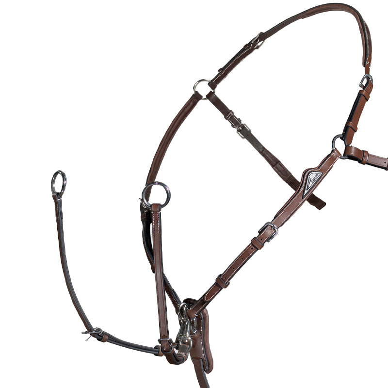 Martingale avec Avant-gorge Marron