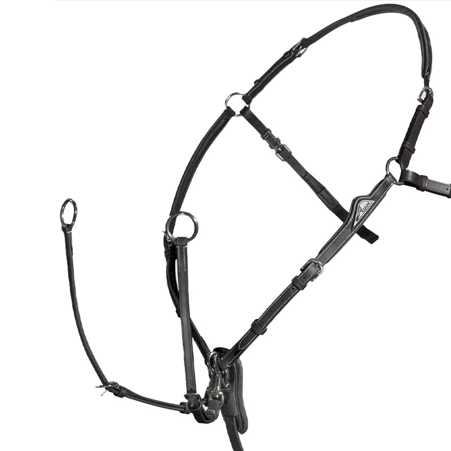 Martingale avec Avant-gorge Noir