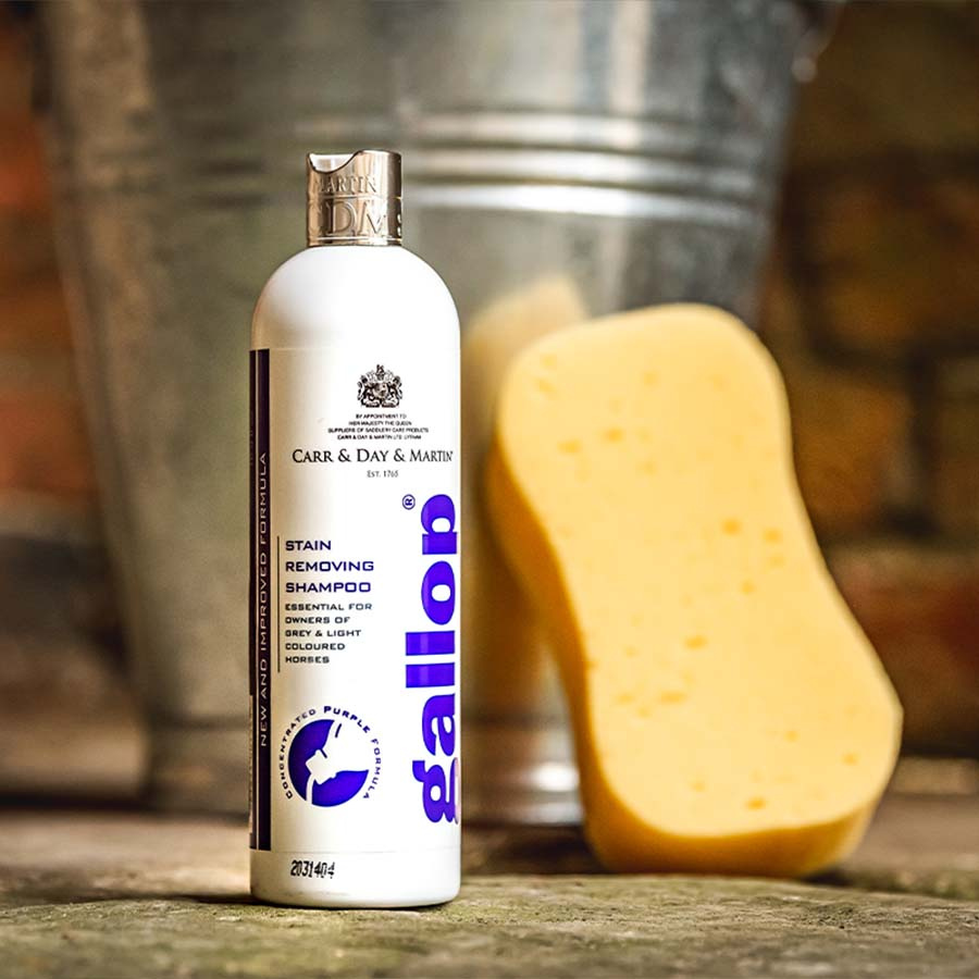 Shampoing Gallop Élimination des Taches 500ml  