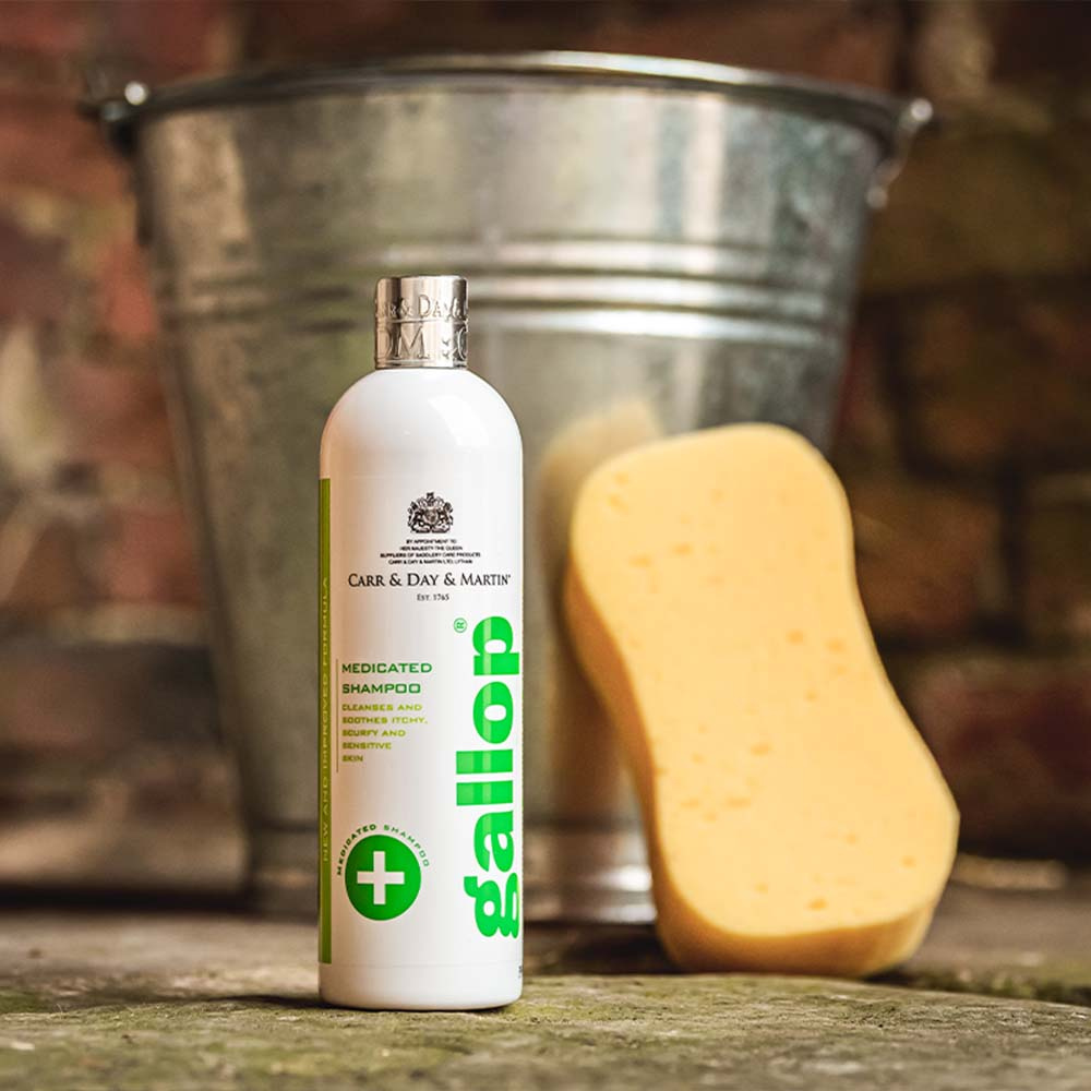 Shampoing Gallop Medicated 500ml  