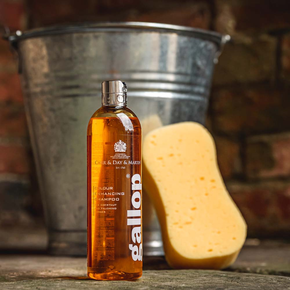 Shampoing Gallop Couleur Roux & Palomino 500ml  