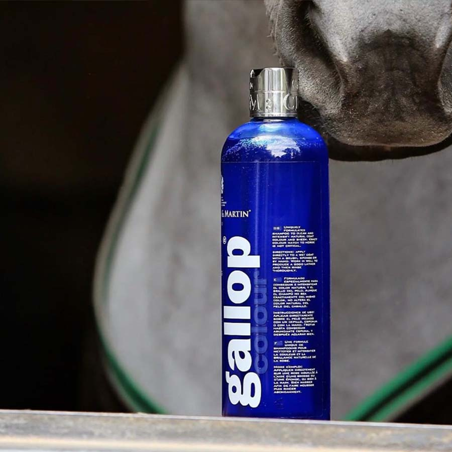 Shampoing Gallop Couleur Gris 500ml  