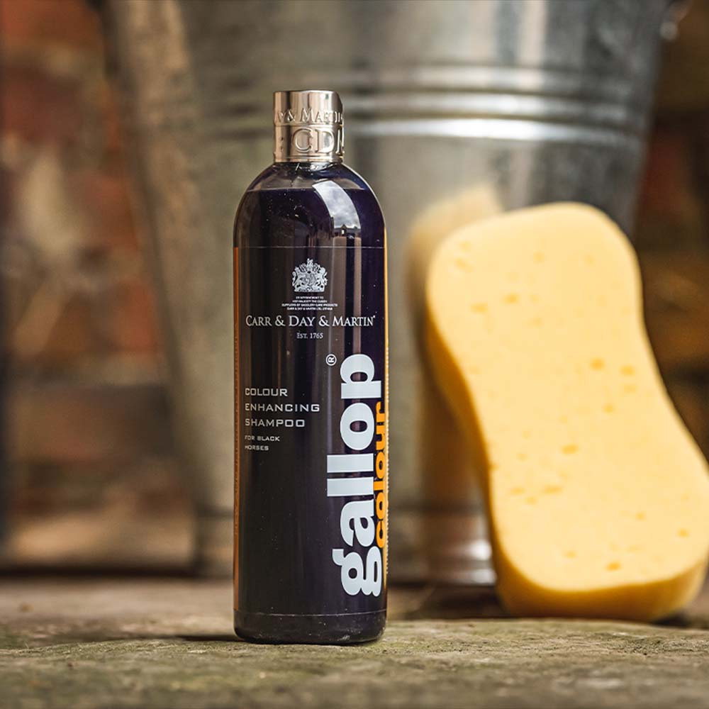 Shampoing Gallop Couleur Noir 500ml  