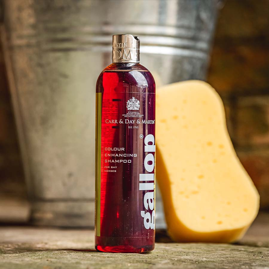 Shampoing Gallop Couleur Marron 500ml  