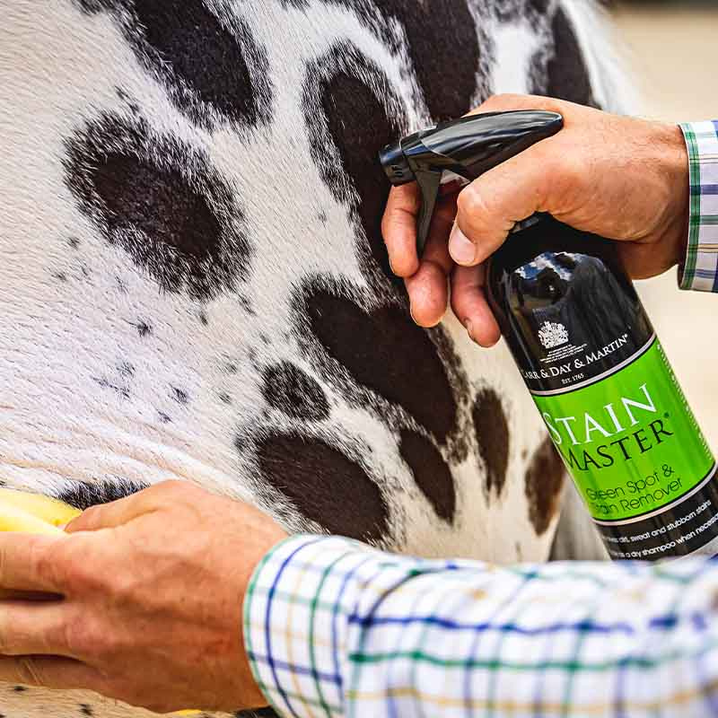 Shampoing sec Stain Master 500ml