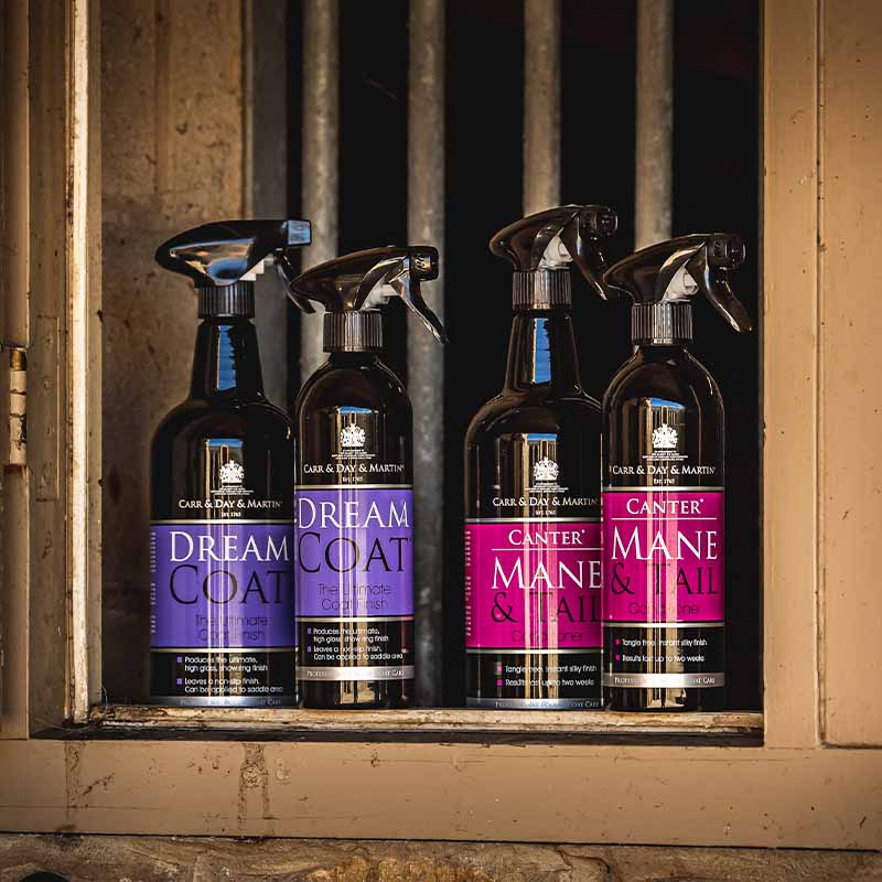 Entretien du pelage The Ultimate Grooming Duo