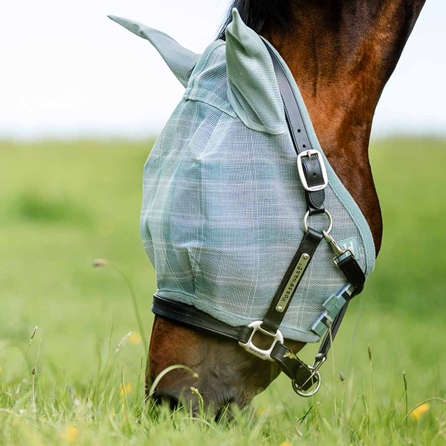 Bonnet anti-mouches Newmarket Witney Dynasty