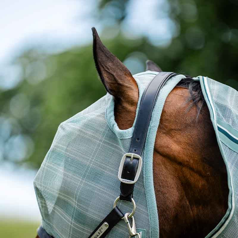 Bonnet anti-mouches Newmarket No Ears Witney Dynasty