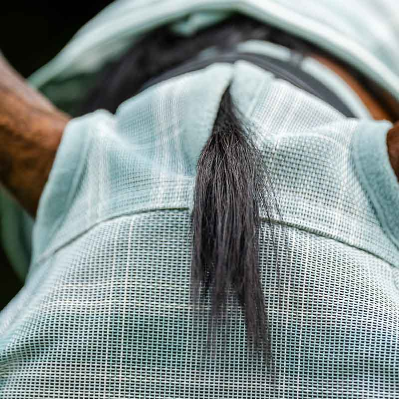 Bonnet anti-mouches Newmarket No Ears Witney Dynasty