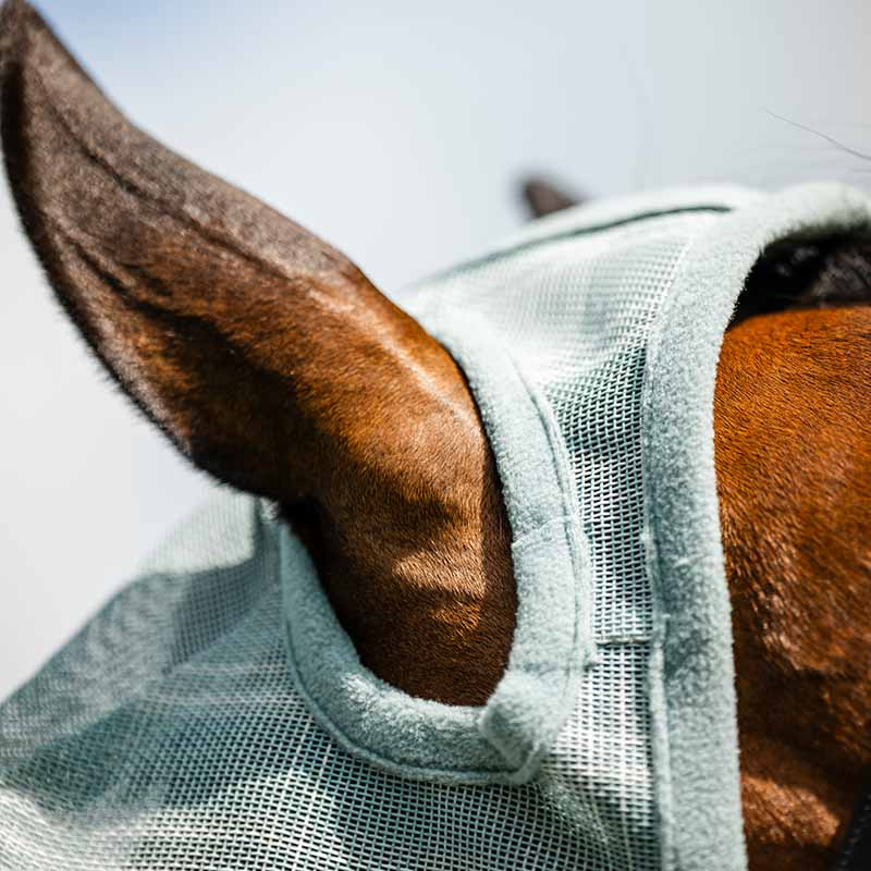 Bonnet anti-mouches Newmarket No Ears Witney Dynasty