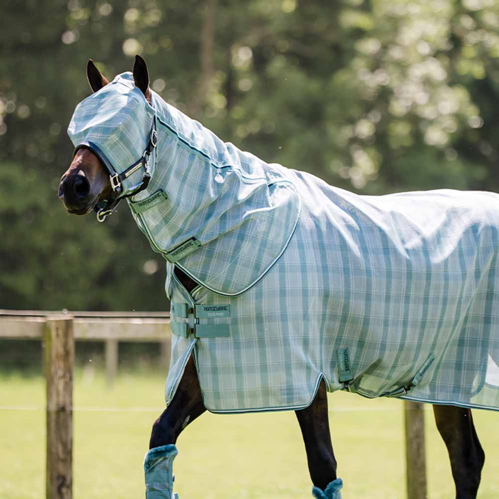 Bonnet anti-mouches Newmarket No Ears Witney Dynasty