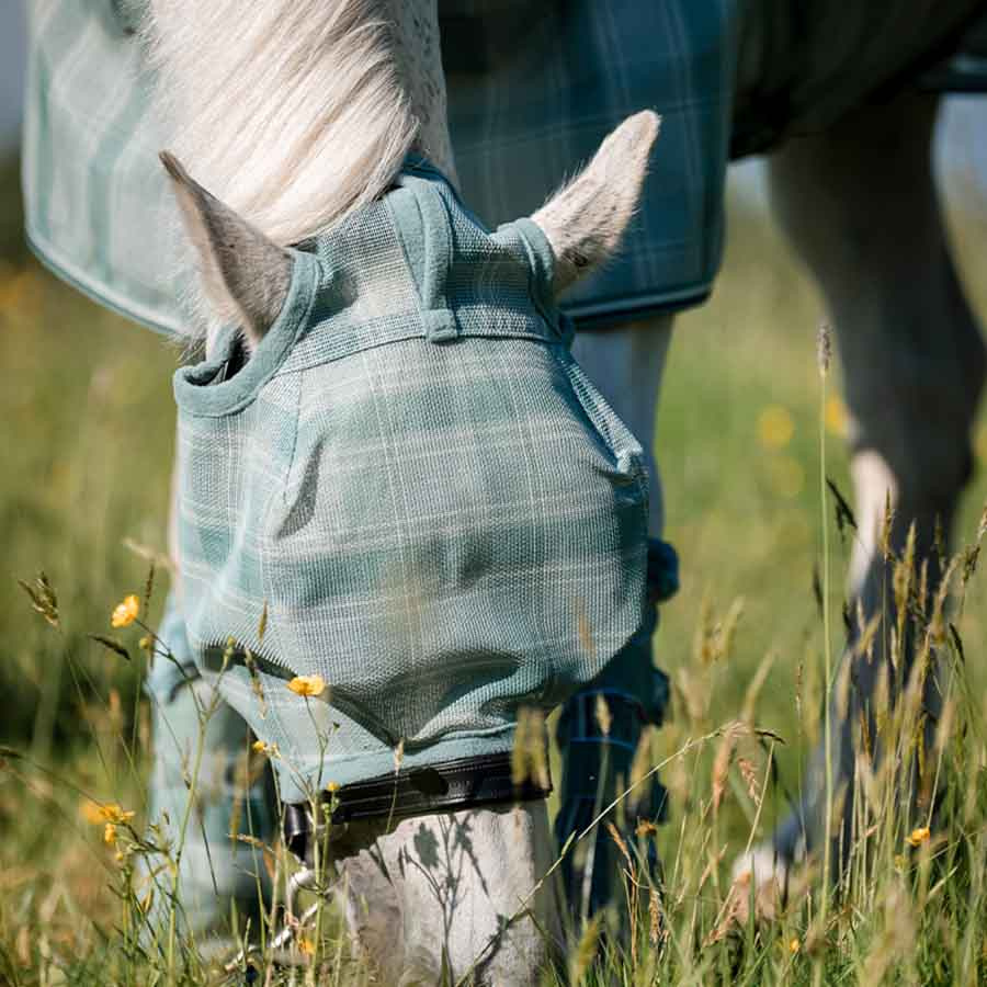 Bonnet anti-mouches Newmarket No Ears Witney Dynasty