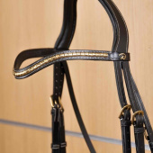 Frontaux V-form Brass Clincher Dyon Collection Noir Frontaux V-form Brass Clincher Dyon Collection Noir