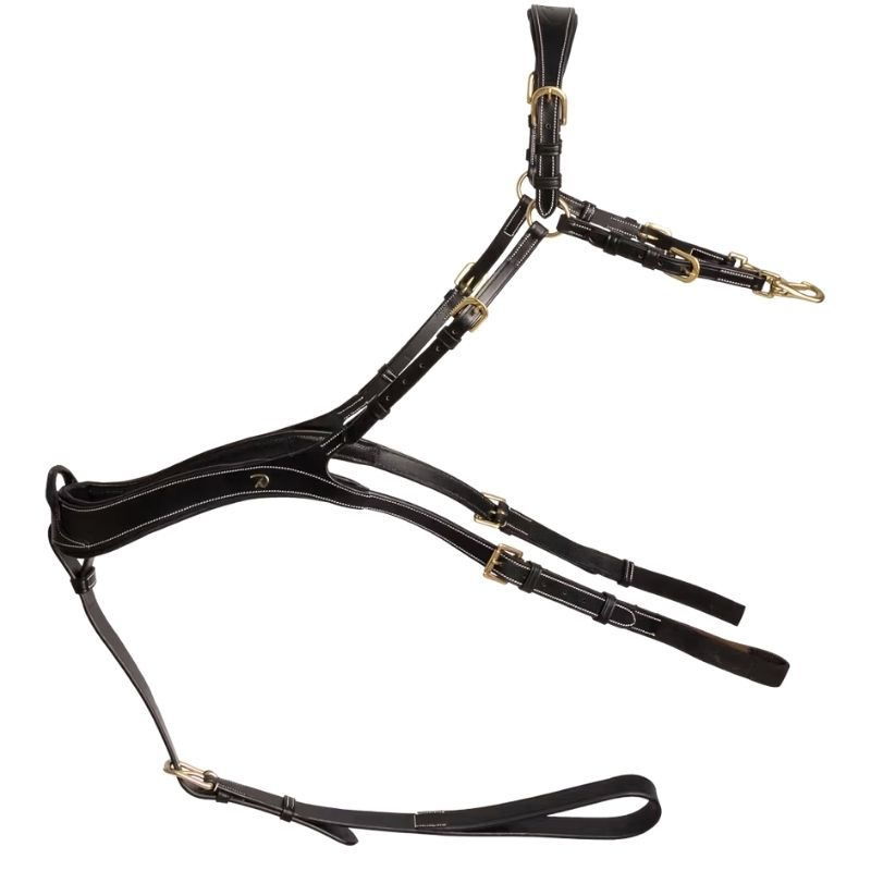 Collier de chasse Anatomical Dyon Collection Noir