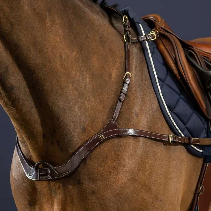 Collier de chasse Anatomical Dyon Collection Marron
