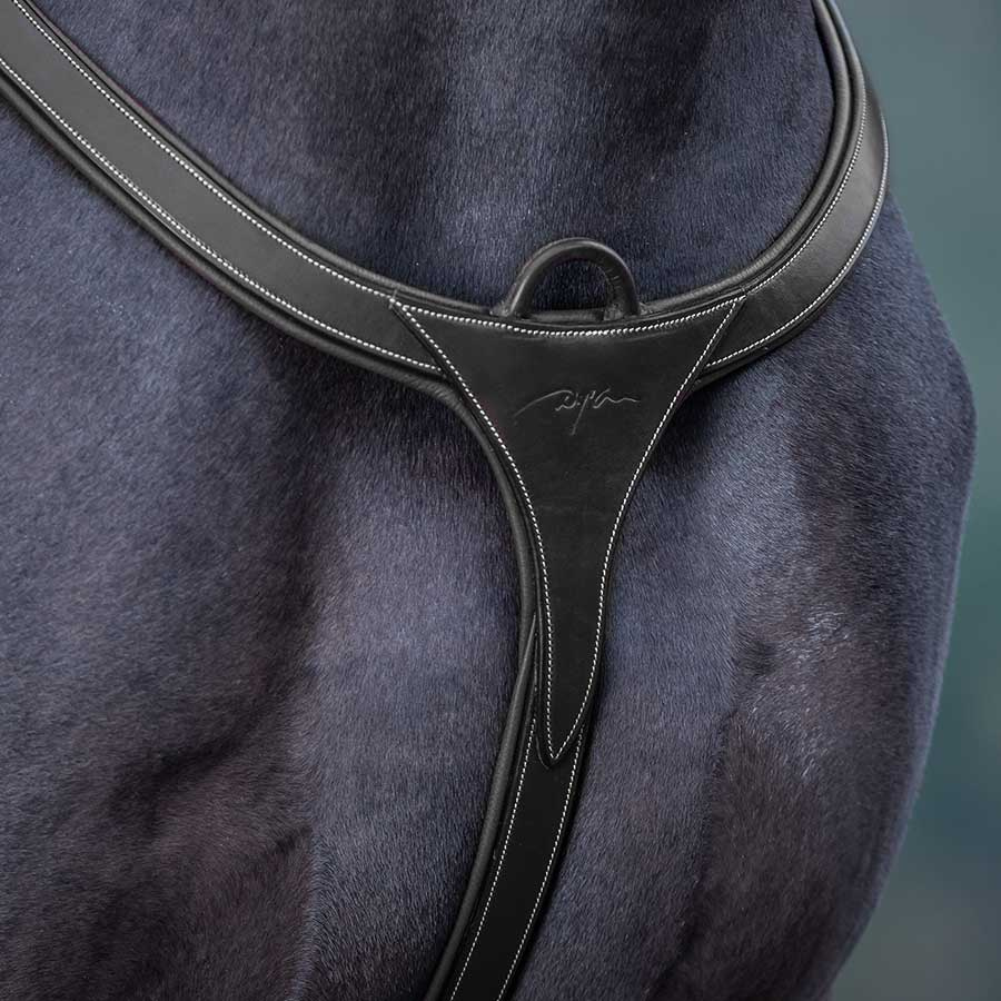 Sangle avec Martingale Longue DC Noir