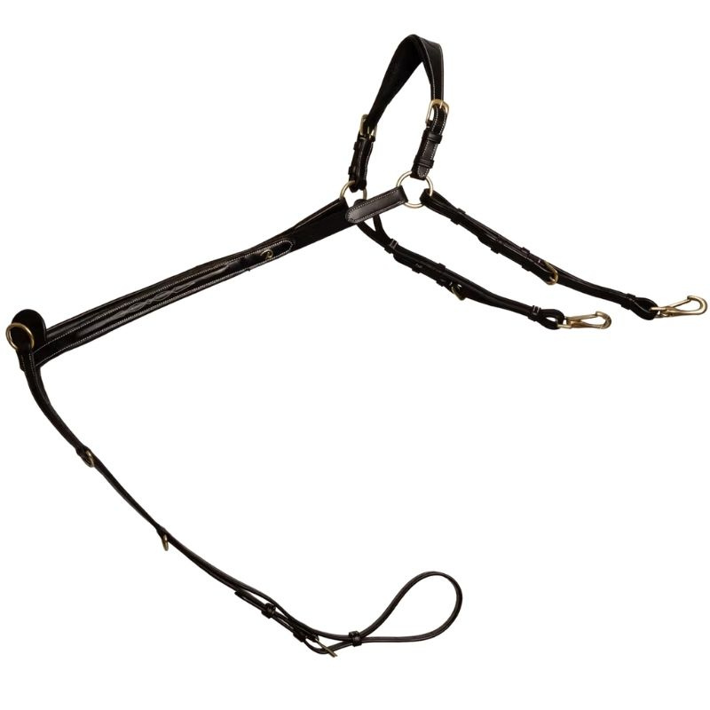 Collier de chasse avec pont Dyon Collection Noir
