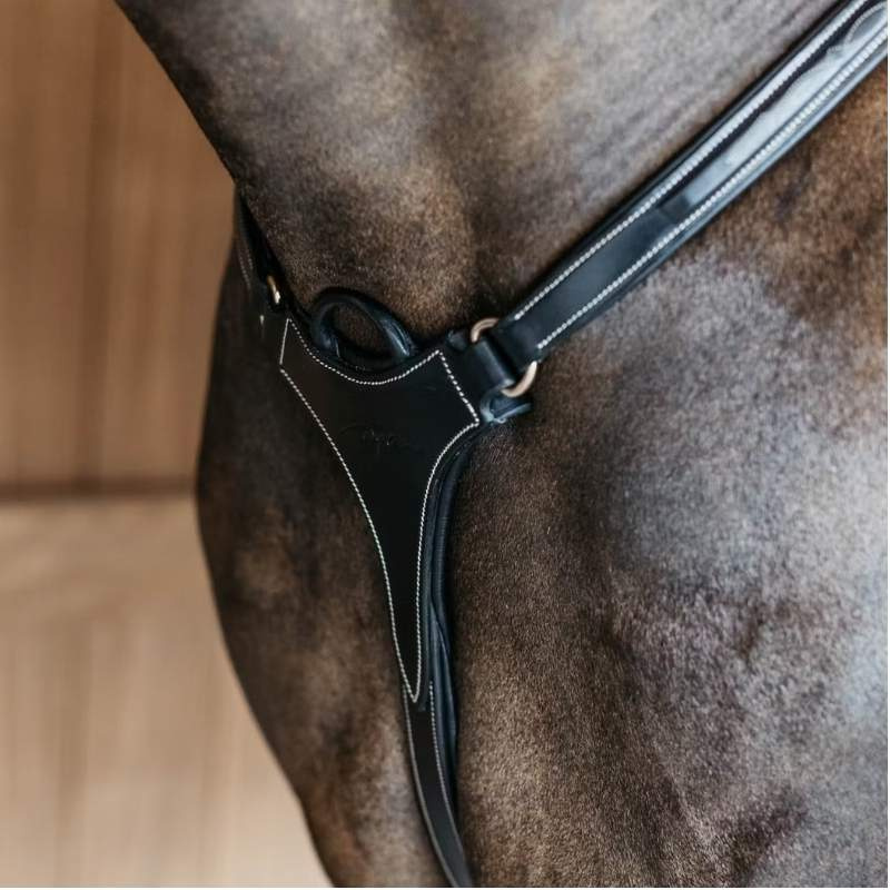 Collier de chasse 5 points Elastic Dyon Collection Noir