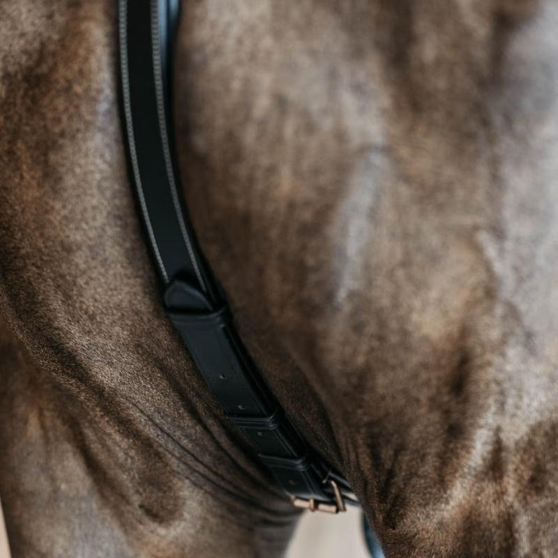 Collier de chasse 5 points Elastic Dyon Collection Noir