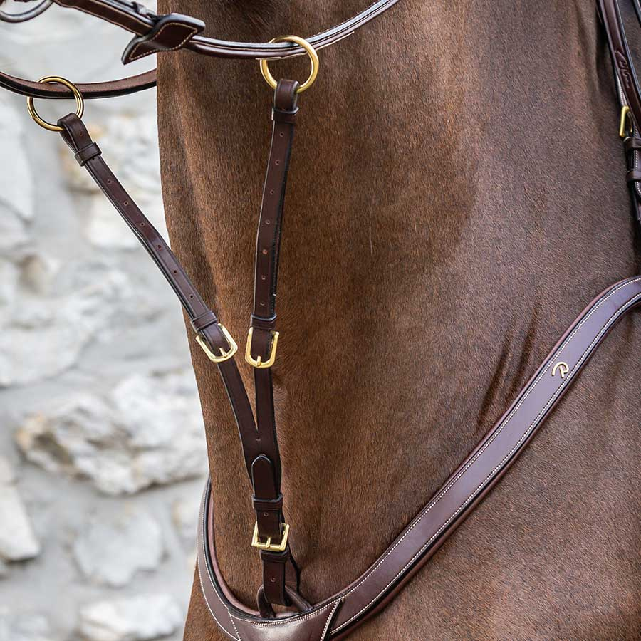 Martingale courte DC Marron