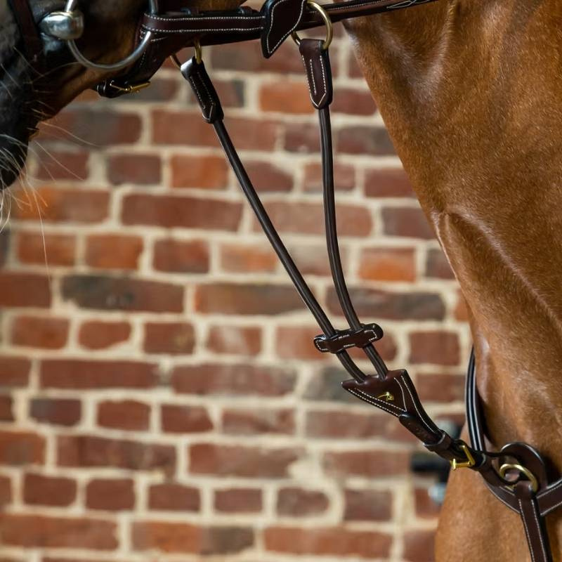 Martingale courte Elastic Dyon Collection Marron