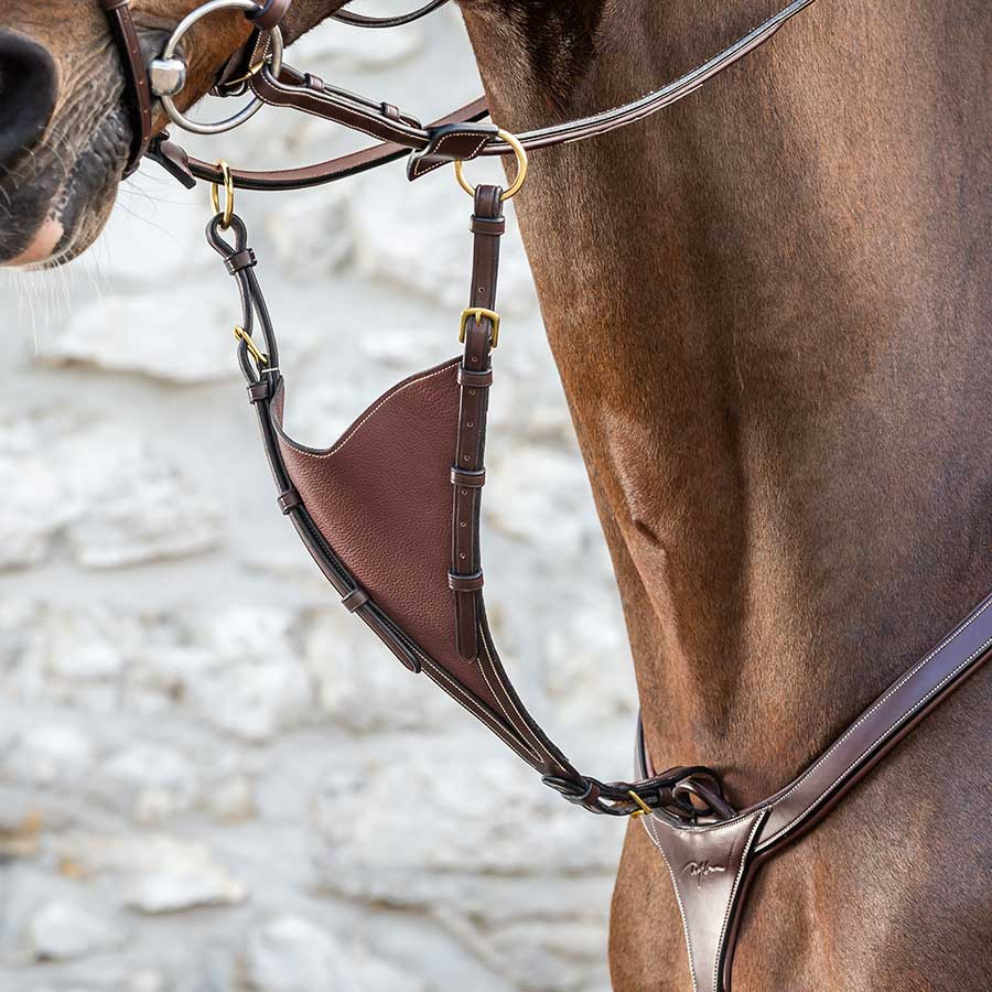 Martingale courte NE Noir Poney