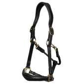 Halter de toilettage Artificial Leather Anatomic DC Noir Halter de toilettage Artificial Leather Anatomic DC Noir