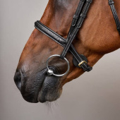 Bridon sans muserolle combinée Plaited Dyon Collection Noir Bridon sans muserolle combinée Plaited Dyon Collection Noir
