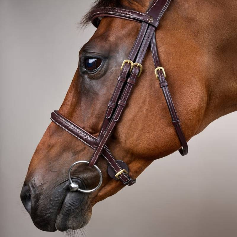 Bridon sans muserolle combinée Plaited Dyon Collection Marron