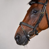 Bridon Combiné Plaited Dyon Collection Noir Bridon Combiné Plaited Dyon Collection Noir