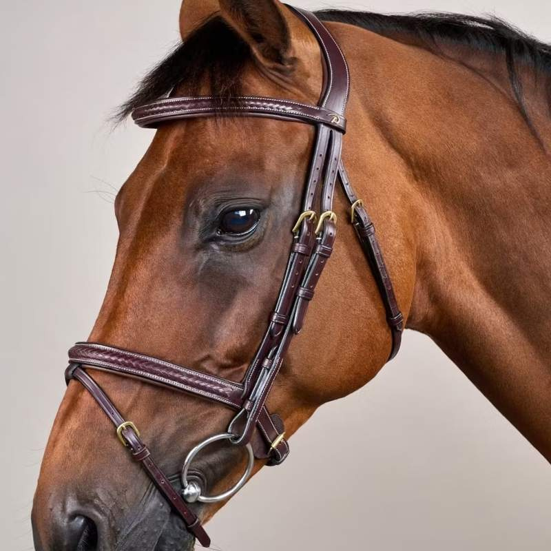 Bridon Combiné Plaited Dyon Collection Marron