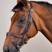 Bridon Combiné Plaited Dyon Collection Marron Bridon Combiné Plaited Dyon Collection Marron