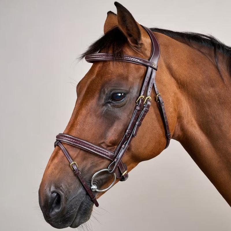 Bridon Combiné Plaited Dyon Collection Marron