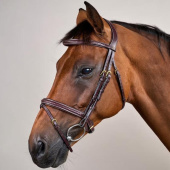 Bridon Combiné Plaited Dyon Collection Marron Bridon Combiné Plaited Dyon Collection Marron