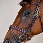 Bridon Combiné Plaited Dyon Collection Marron Bridon Combiné Plaited Dyon Collection Marron