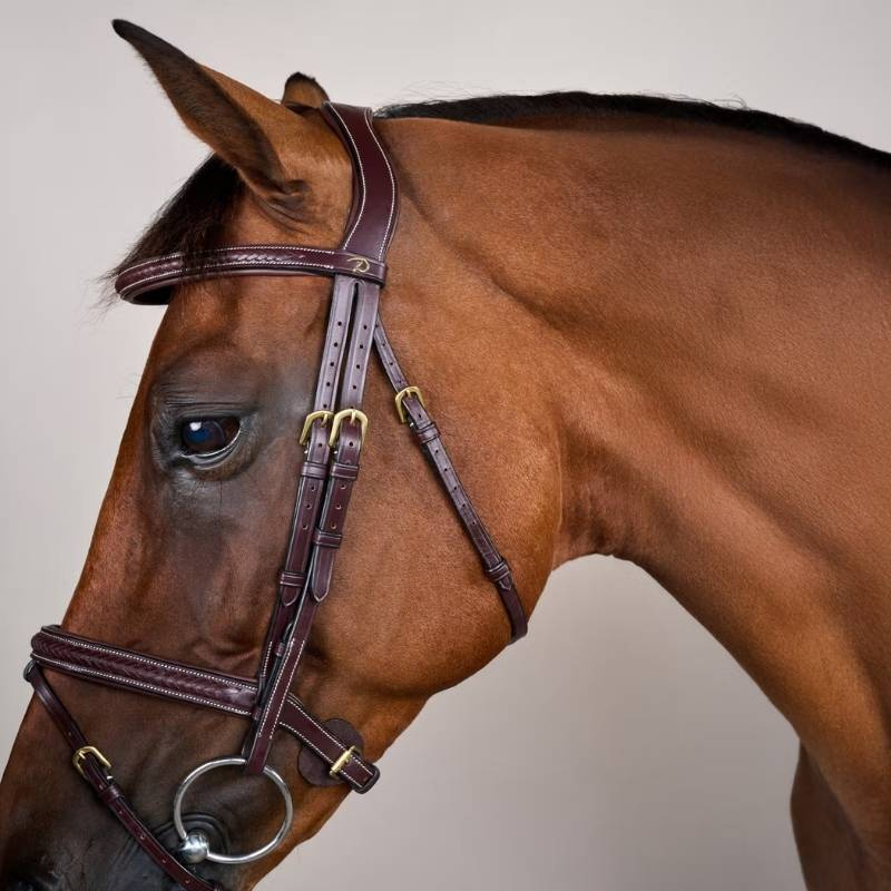 Bridon Combiné Plaited Dyon Collection Marron