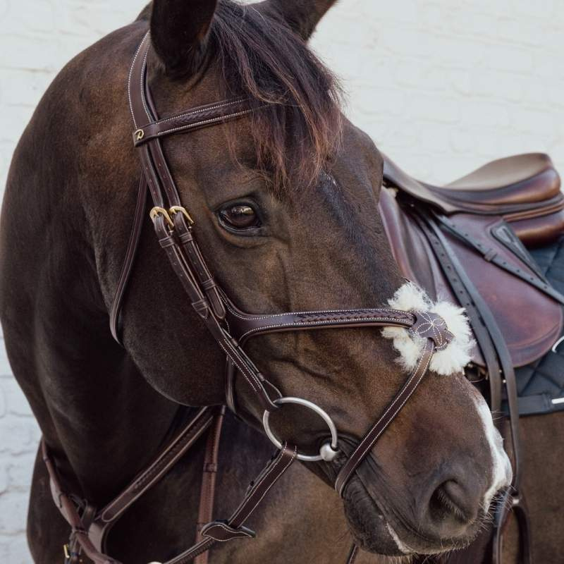 Bridon à Muserolle Croisée Plaited Dyon Collection Marron