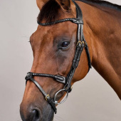 Bridon Combiné Braided Dyon Collection Noir Bridon Combiné Braided Dyon Collection Noir