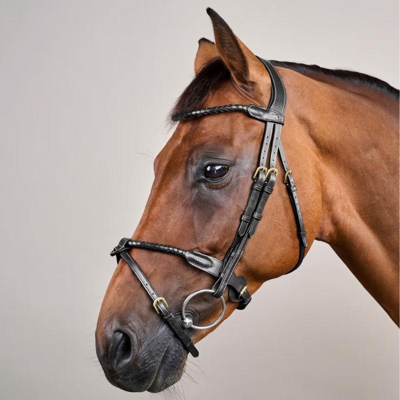 Bridon Combiné Braided Dyon Collection Noir